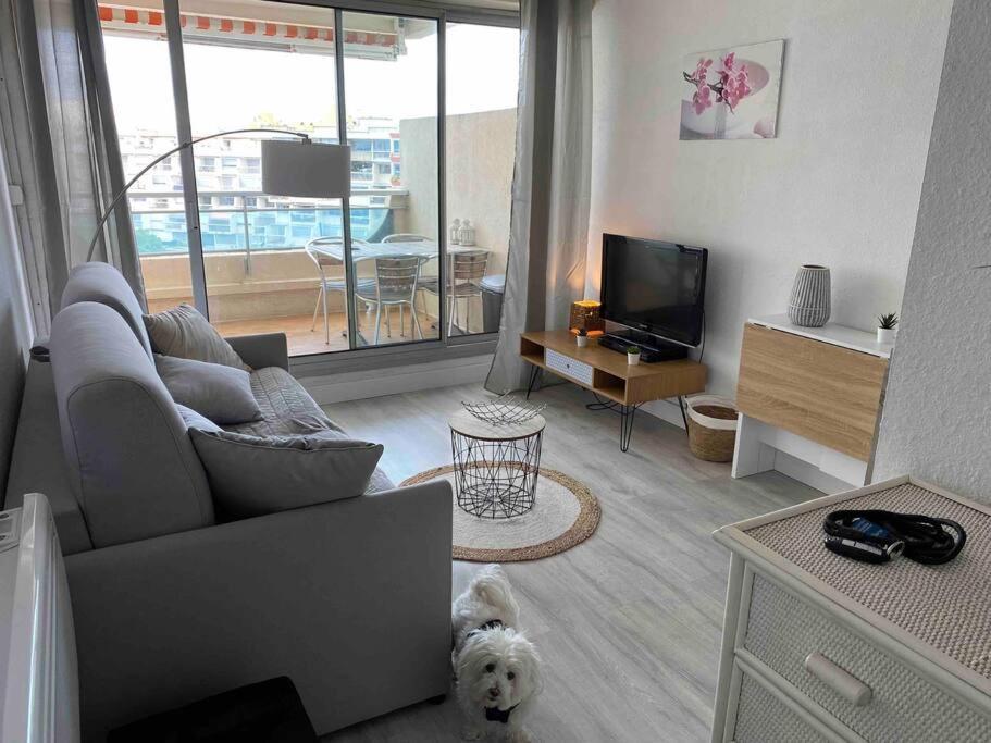 Joli Studio Vue Mer Et Port Mauguio Eksteriør billede